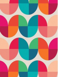 gal_tulip